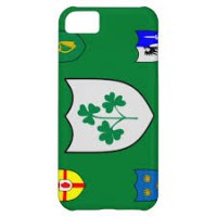 Funda de la selecció